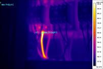Thermal Image of a contactor with a termination fault
